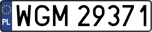 WGM29371