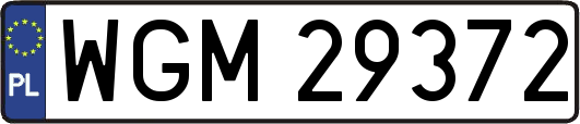 WGM29372