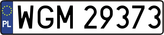 WGM29373