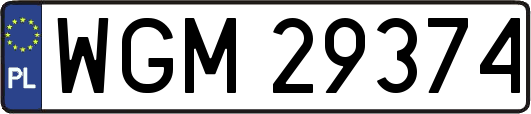 WGM29374