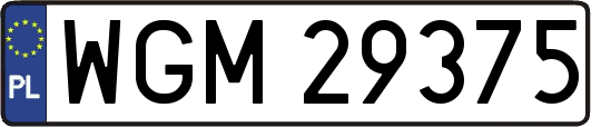 WGM29375