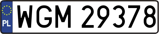 WGM29378