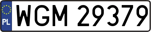 WGM29379