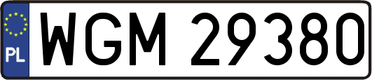 WGM29380
