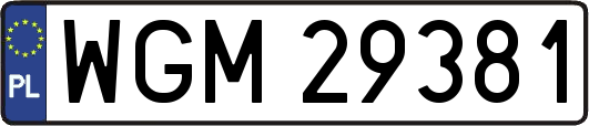 WGM29381