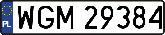 WGM29384
