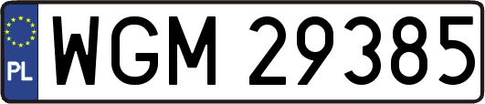 WGM29385