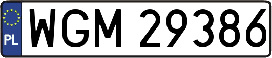 WGM29386