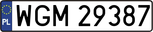 WGM29387