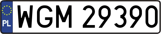 WGM29390