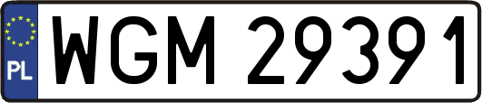WGM29391