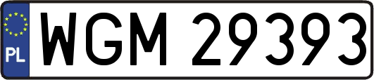 WGM29393