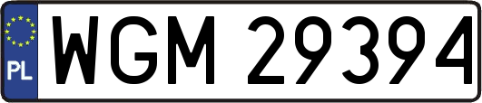 WGM29394