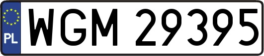 WGM29395