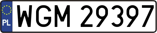 WGM29397