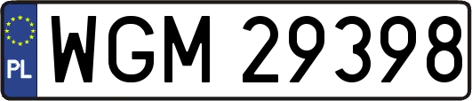 WGM29398