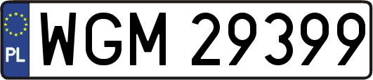 WGM29399