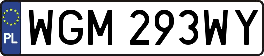 WGM293WY