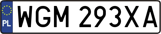 WGM293XA