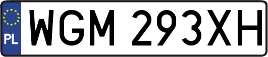 WGM293XH