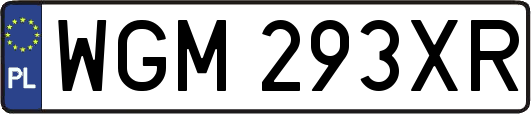 WGM293XR