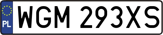 WGM293XS