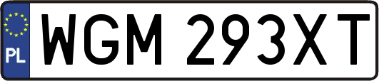 WGM293XT