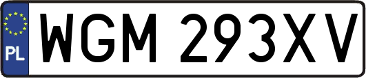 WGM293XV