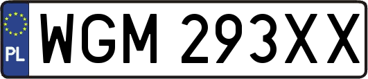 WGM293XX