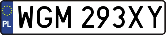 WGM293XY