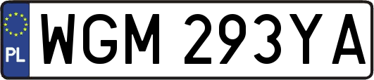 WGM293YA