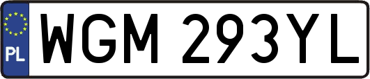 WGM293YL