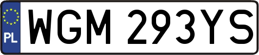 WGM293YS
