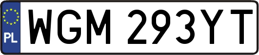 WGM293YT