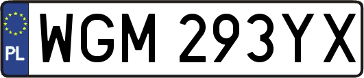 WGM293YX