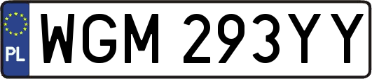 WGM293YY