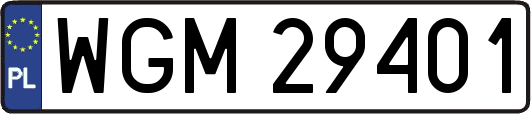 WGM29401