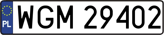 WGM29402