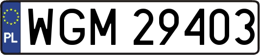 WGM29403