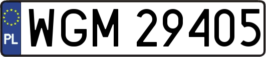 WGM29405