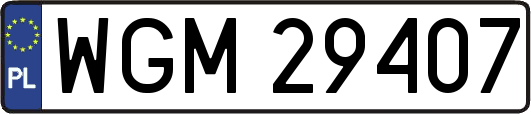 WGM29407