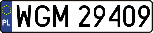 WGM29409