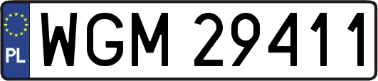 WGM29411