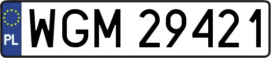 WGM29421