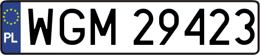 WGM29423