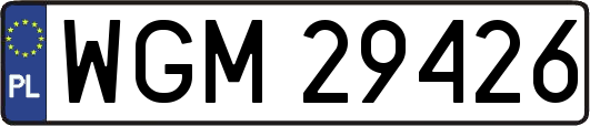 WGM29426