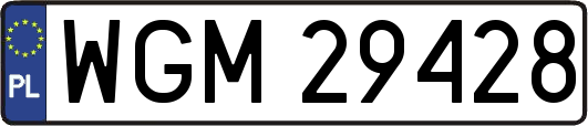 WGM29428