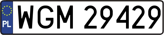 WGM29429
