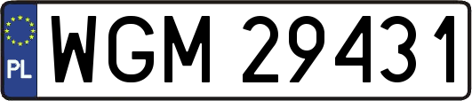 WGM29431