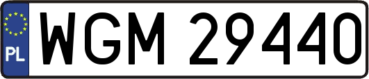 WGM29440